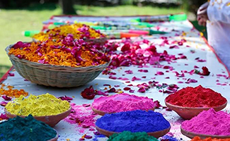 Eco-Flower Holi