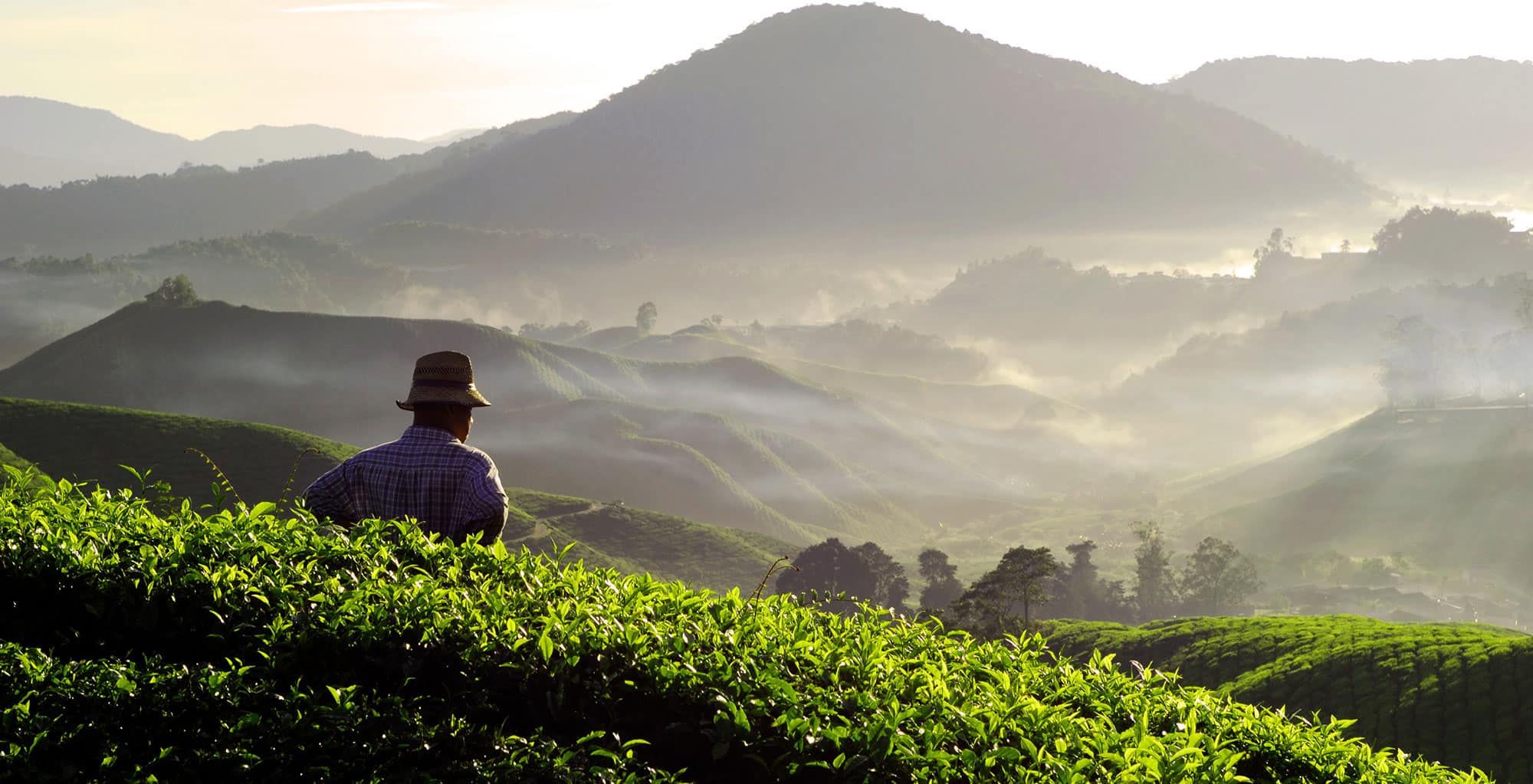 Munnar