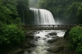 Waterfall and forest valley in Wayanad for adventure-led team experiences